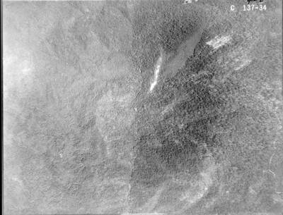 C137