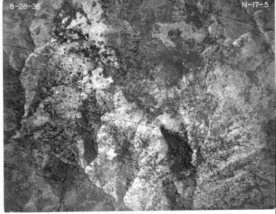 N17-5