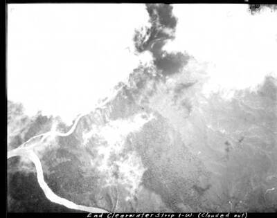 C19