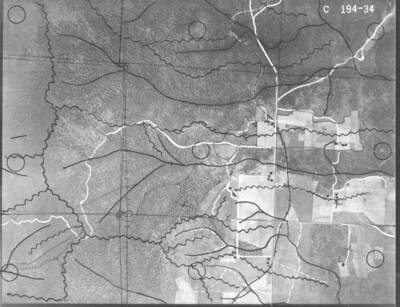 C194