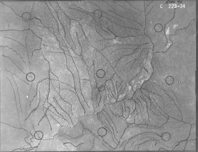 C223