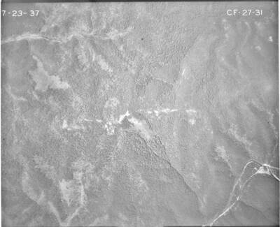 CF2731