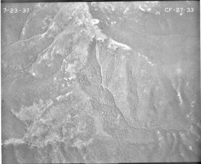 CF2733