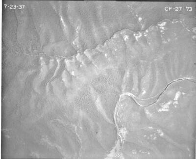 CF2773