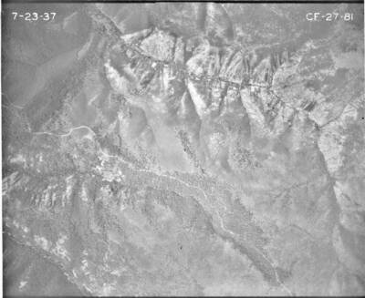 CF2781