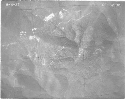 CF3236