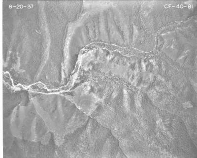 CF40-81