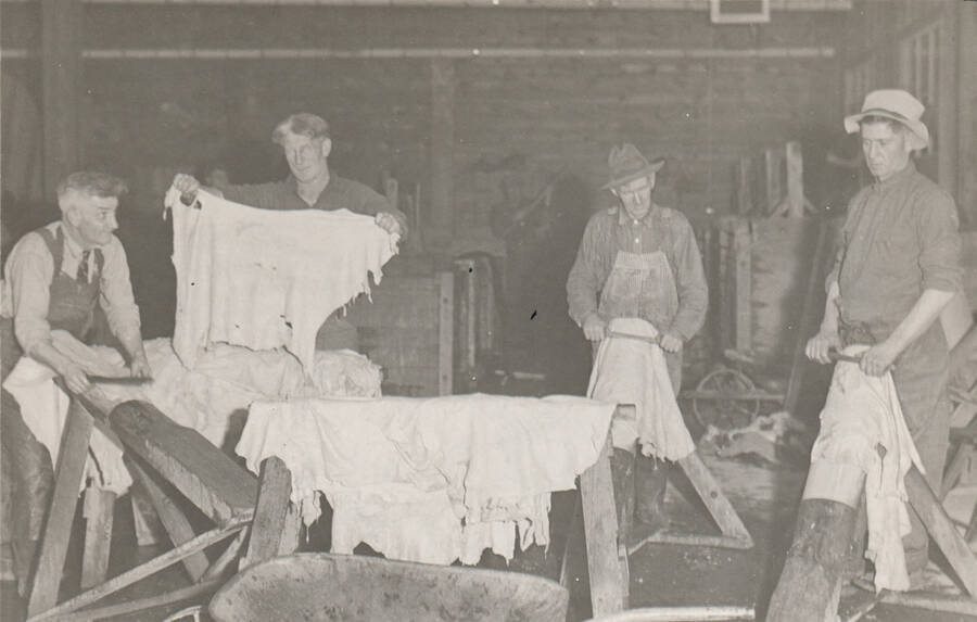 Four men working to scrape and tan hides for relief coats at the Boise, Idaho Tannery. Note: This image is part of a Work Progress Administration publicity series.