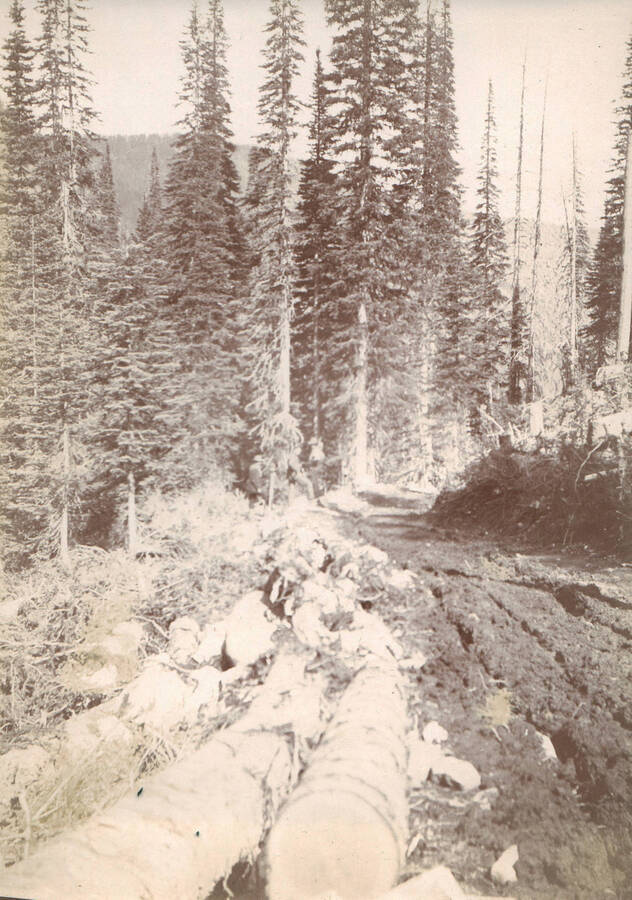 A wagon road from Lake Creek to Crooked River near Buffalo Hump.