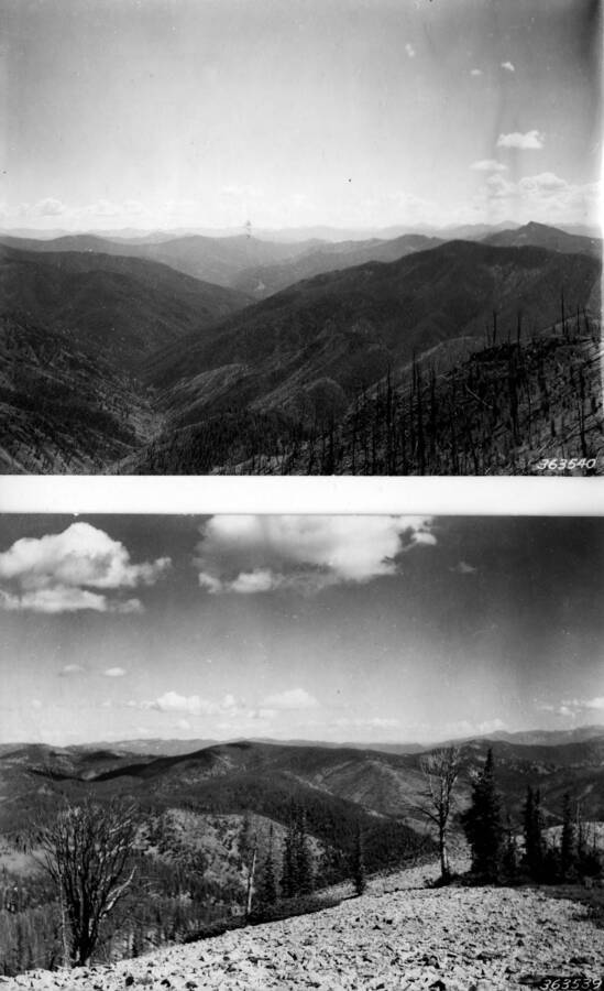 Two photographs of the Idaho Primitive Area after a fire.
