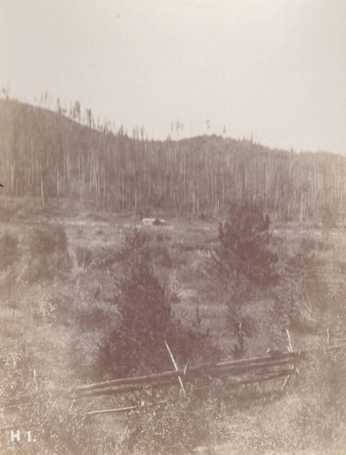Photo text: 'On road to Priest Lake from Priest River Station, at East River, Idaho.' Note: This image is part of a short series taken by Gifford Pinchot in Idaho's Priest River region.