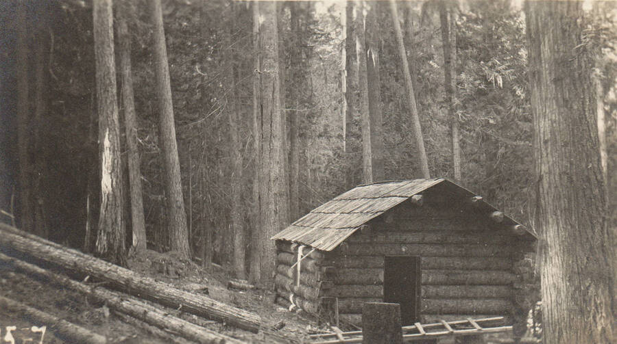 Photo text: 'Showing timber and cabin on J.P. White claim, fall of 1905. Located March 20, 1905. His residence up to November 13, 1905, consisted of 40 days. He was in conflict with scrip, and relinquished in 1908.' Note: Marble Creek region homesteads at this time were often part of a homesteads fraud being documented by the US Forest Service.