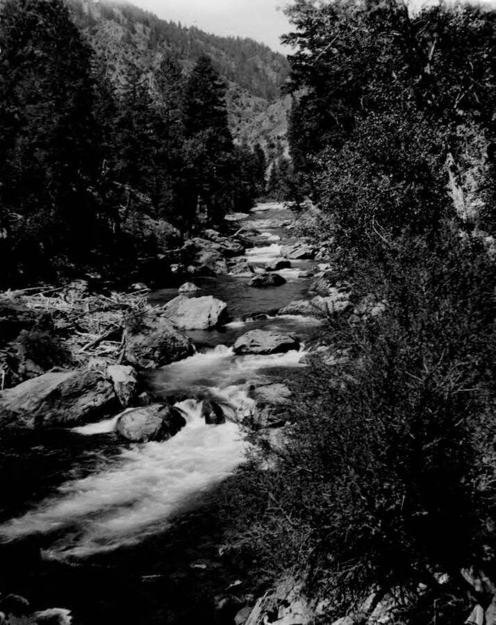 Lower Big Creek near Beall Ranch