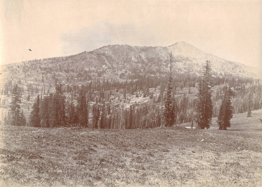 A photograph of the landscape at Buffalo Hump, Idaho County, Idaho.