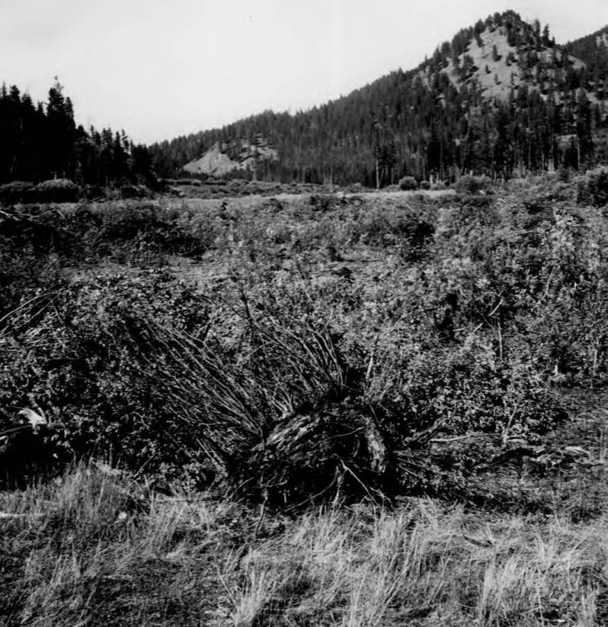 Photo text: 'Looing south across Root Ranch Landing Field.'