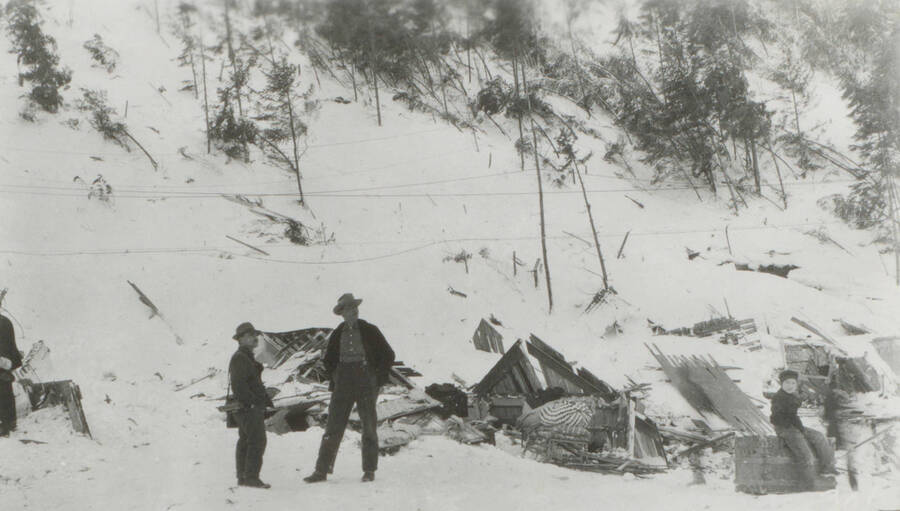 Photo text: 'The small tree growth had been bent over and covered with snow as if struck by a hurricane.' E. Pulaski and J. Halm stand nearby. This image is part of a pictorial narrative by William W. Morris titled 'Experiences on a National Forest'.