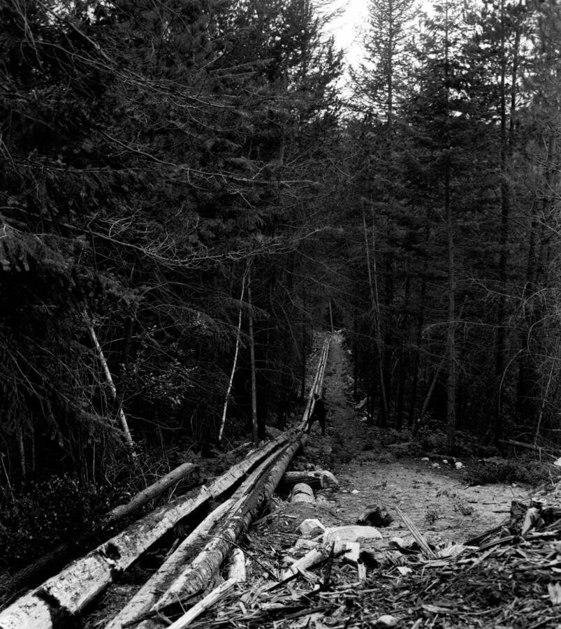 Photo text: 'Kaniksu National Forest, Idaho. -- Log slide to river, through second growth of timber.'