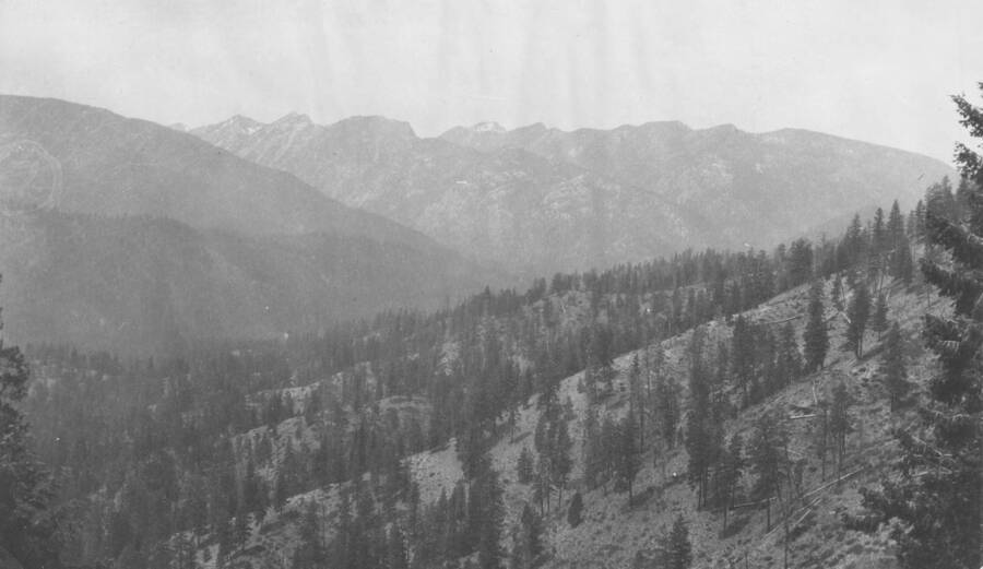 Photo text: '3,00 to 4,00 feet to acre. Lick Creek Canyon in distance.' This is image is part of a report on the proposed Payette Forest Reserve by R.E. Benedict, 1904.
