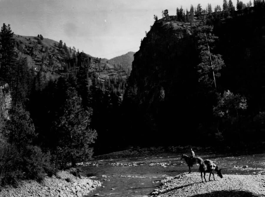 A rider on his horse with a pack horse at the junction of Marble Creek and the middle fork of the Salmon River in the Salmon-Challis National Forest.
