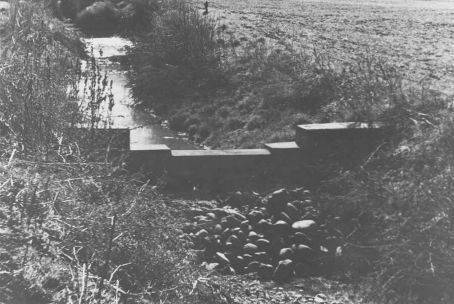 Checking the small damn in an irrigation ditch on the Fort Lapwai Sanatorium grounds. Note: This image is part of a narrative pictoral report to accompany quarterly enrollee program report.