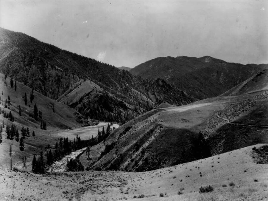 A wide view of the landscape around the Mahoney Creek Landing Field in the Salmon-Challis National Forest.