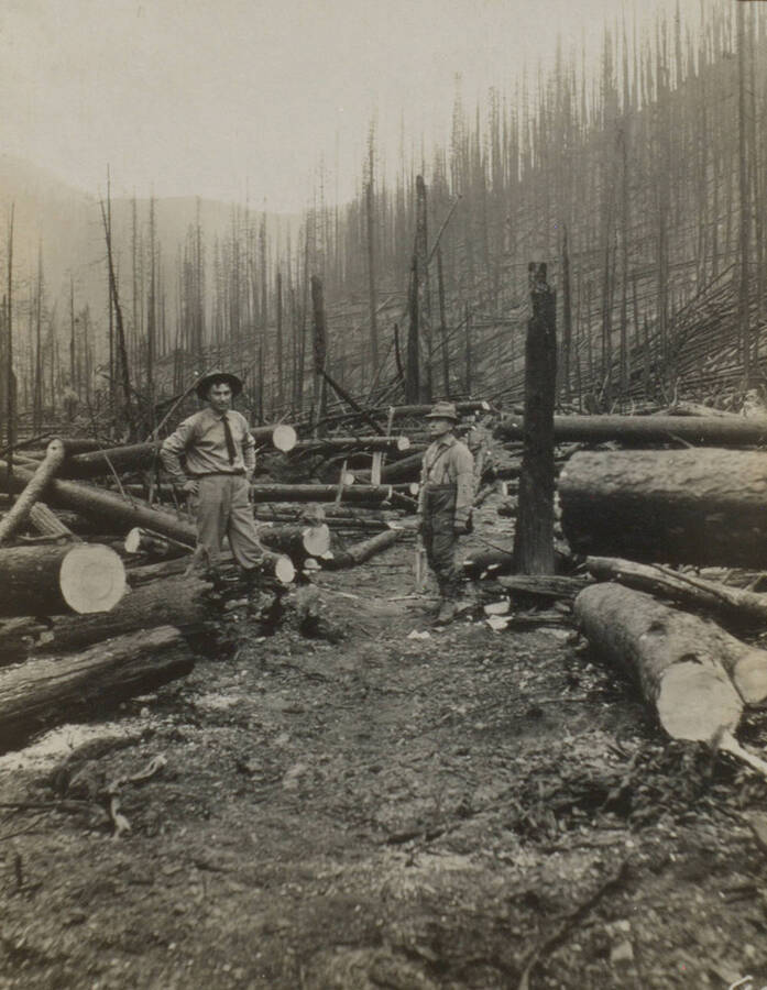 Photo text: 'Gangs of men were out all fall clearing trails.' This image is part of a pictorial narrative by William W. Morris titled 'Experiences on a National Forest'.