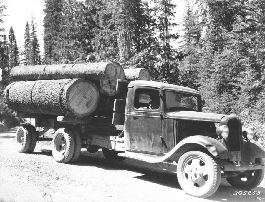 Photo text: '1 1/2 Ton Dodge truck loaded with white pine logs on Musselshell rd., Browns Creek, Clearwater Timber Co. operation.'