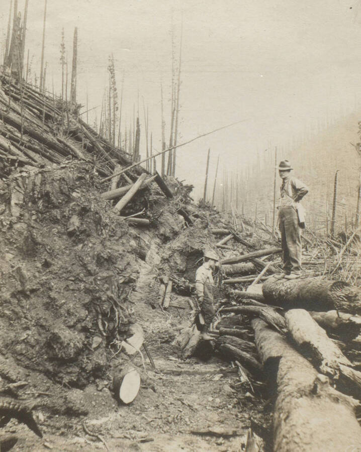 Photo text: 'Great tree trunks were piled across the trails in twisted and broken tangles.' This image is part of a pictorial narrative by William W. Morris titled 'Experiences on a National Forest'.