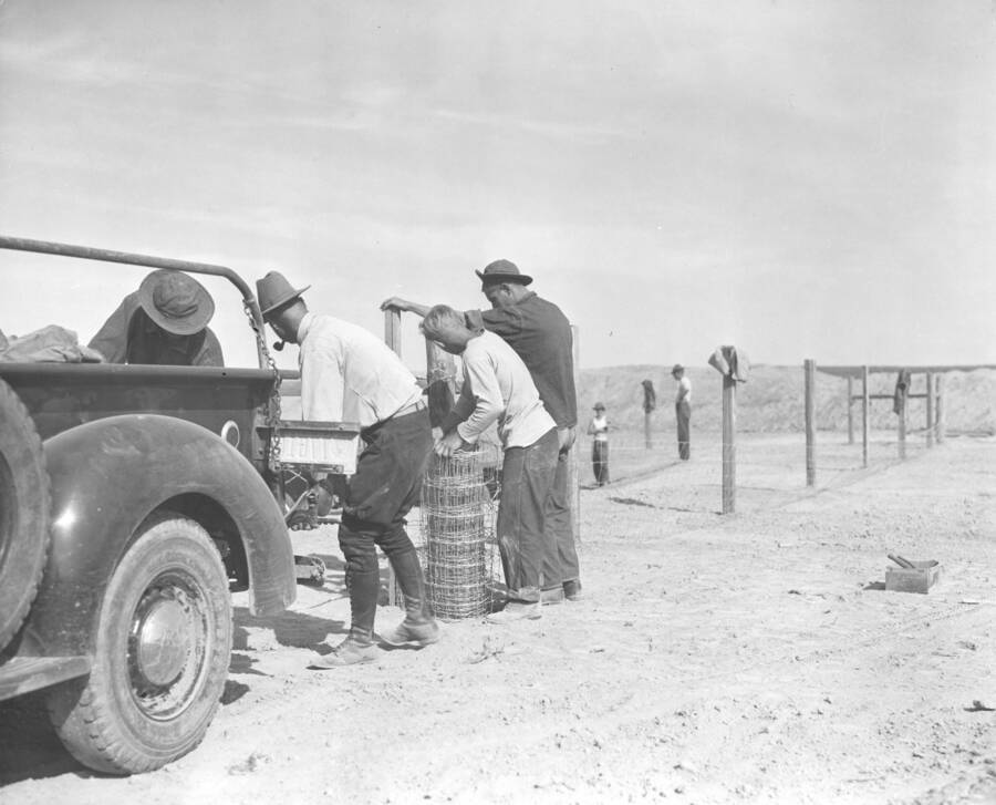 CCC workers from Mountain Home Camp G-99 work on fence. Image part of CCC-Idaho Indian Division.