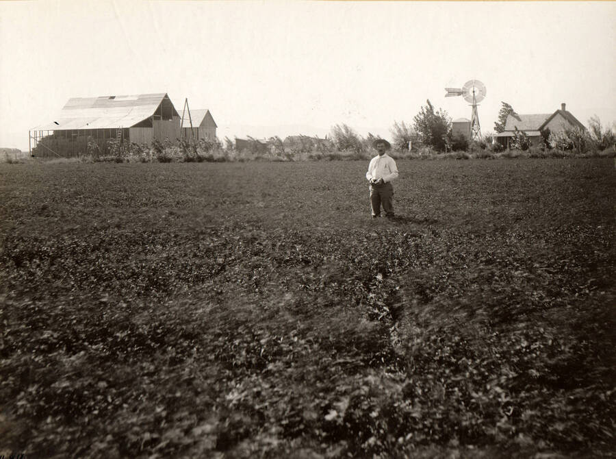 Photo text: 'First cutting of alfalfa on Adams homestead. Entire water right paid for.' Note: This image is part of records for Bureau of Reclamation projects.