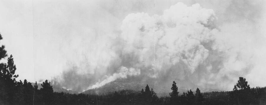 Photo text: 'Clouds of Chaos. Elk Creek fire, Boise Basin, near Idaho City, Aug. 17, 1934. ' This image is part of a report by the United States Department of Agriculture Biological Survey on predation and pests.