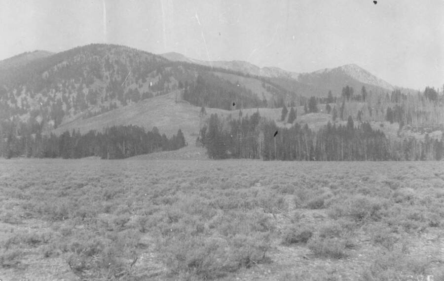 Photo text: 'Township 6N, Range 15E. Edge of reserve.' This is image is part of a report on lands proposed for addition to Sawtooth Forest Reserve by Gordon E. Tower, 1905.