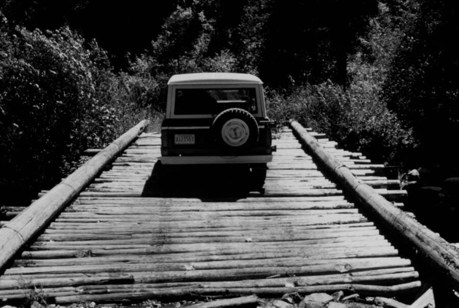Photo text: 'Photo #4. One of the native log bridges across Big Creek.'