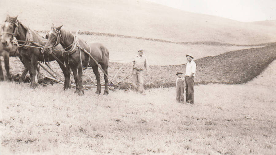 Photo caption: 'Eddie James and John C. Ellenwood plow their land and later plant corn.' This image is part of a report regarding farm organizations among tribes in Northern Idaho and the CCC-Indian Division.