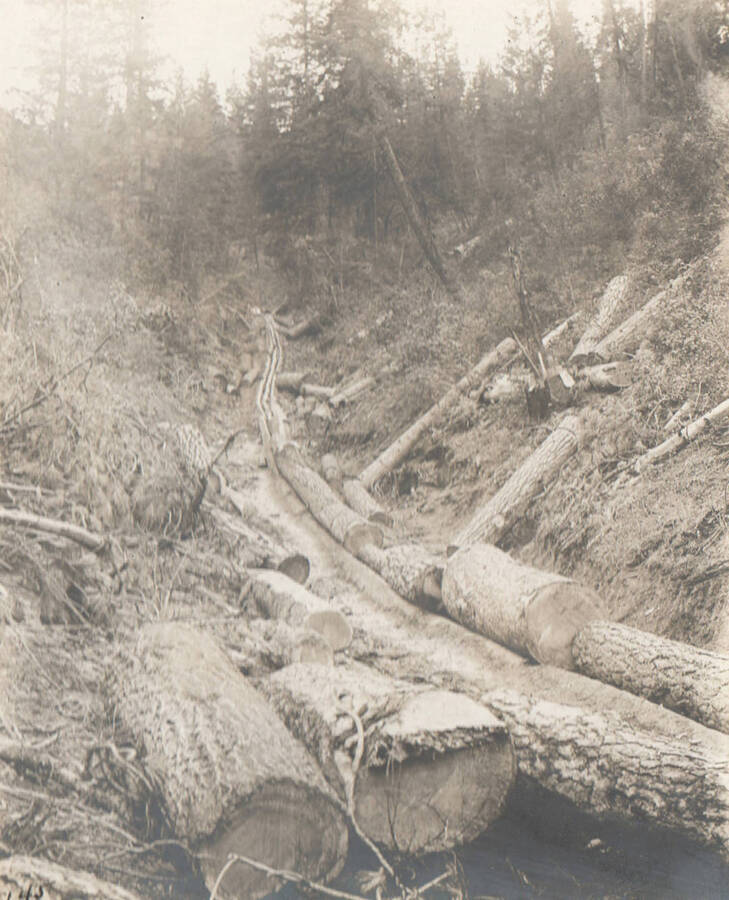 Photo text: 'Up log chute near head of Garden Gulch, Boise River.' Note: This image is part of records for Bureau of Reclamation projects.