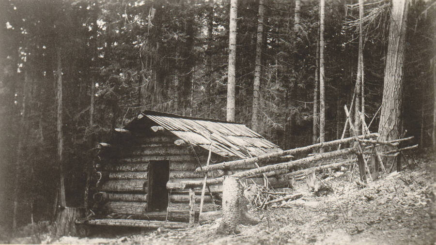 Photo Text: 'Nellie Kildee's cabin in fall of 1905, just after offering filing.' Note: Marble Creek region homesteads at this time were often part of a homesteads fraud being documented by the US Forest Service. The court found in favor of the State.