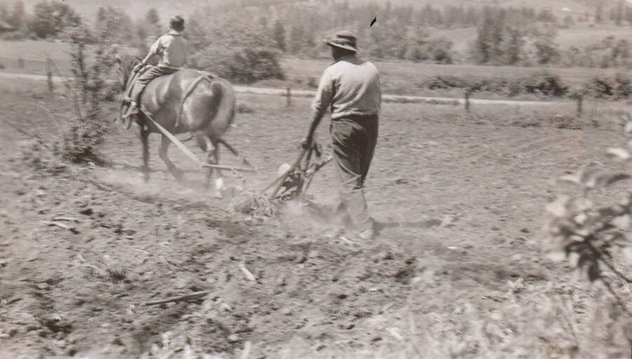 Photo caption: '4H Club member Timothy Wheeler, plows his field for corn.' This image is part of a report regarding farm organizations among tribes in Northern Idaho and the CCC-Indian Division.