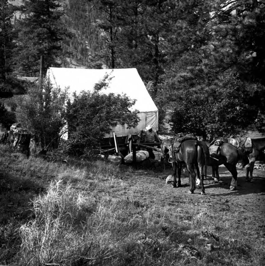 Photo text: 'Don Gossi at the Simplot Administrative Site near the mouth of Lynn Creek, Middle Fork, Salmon River. Challis and Stanley Ranger Districts.'