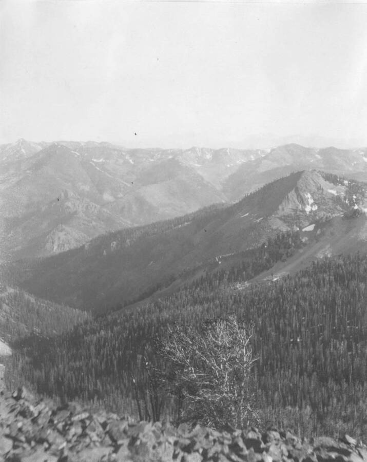 This image is part of a document titled 'Report upon the proposed Salmon River Forest and additions to Sawtooth, Bitterroot, and Lemhi Reserves, Idaho.' Collected by William T. Cox, 1904.