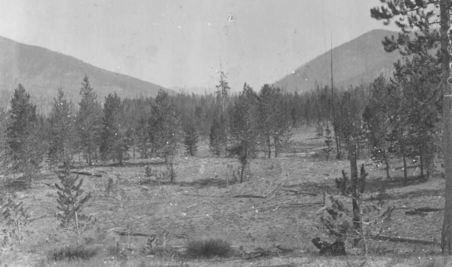 Photo text: 'General view of Marsh Creek Canyon, showing lodgepole pine and Engelmann spruce. This is not in the proposed reserve.' This is image is part of a report on the proposed Sawtooth Forest Reserve by Hugh P. Baker, 1904.