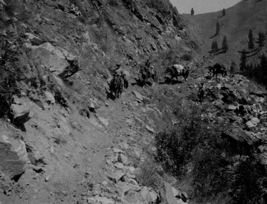 Pack train and rangers on Crevice Trail on Salmon River canyon wall
