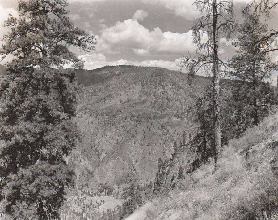 Photo text: 'Looking North. A tributary of the Salmon River. Sept. 9, 1939.' This image is part of a Rivers and Harbors series.