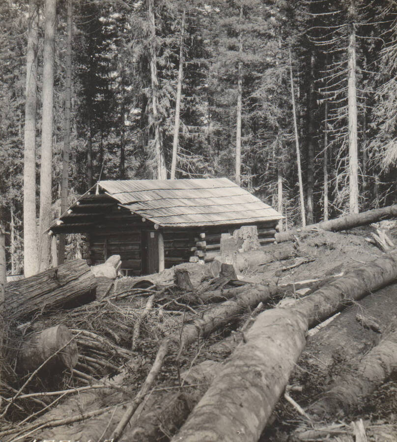 Photo Text: 'Cabin and 'clearing' on claim of Nellie Kildee, May 31, 1909. Mrs. Kildee is still asserting her right to this land, yet at all times has resided at Wallace, Idaho, where she conducts a boarding or rooming house.' Note: Marble Creek region homesteads at this time were often part of a homesteads fraud being documented by the US Forest Service. The court found in favor of the State.