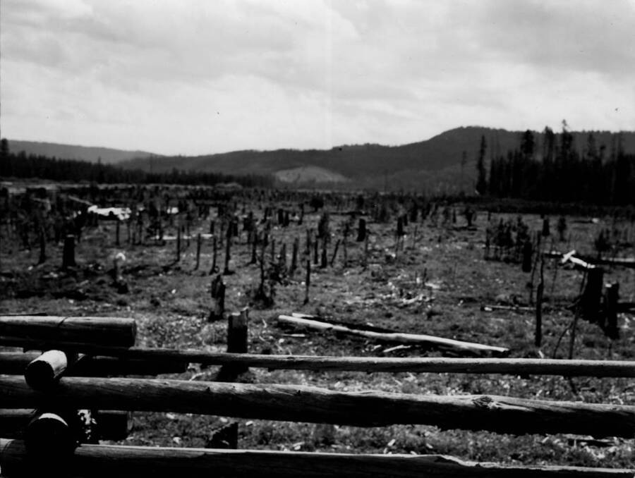 Photo text: 'Burned areas. Chamberlain, ID -- looking east at Lodgepole Point'