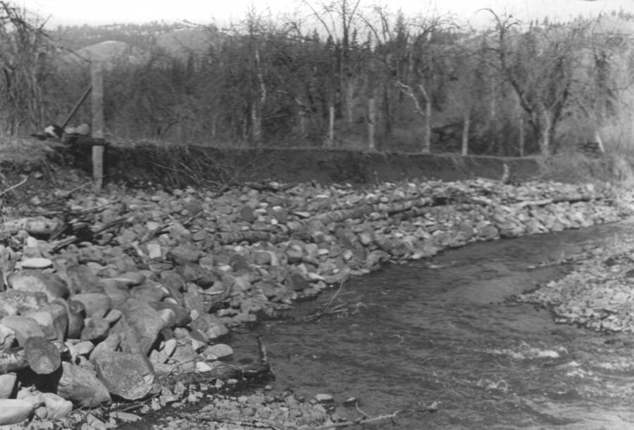 Photo text: 'Nez Perce Reservation. Erosion Control Lawyer's Creek Project No. 158. Erosion line along bank in edge of orchard can be seen.' Note: This image is part of a narrative pictoral report to accompany quarterly enrollee program report.