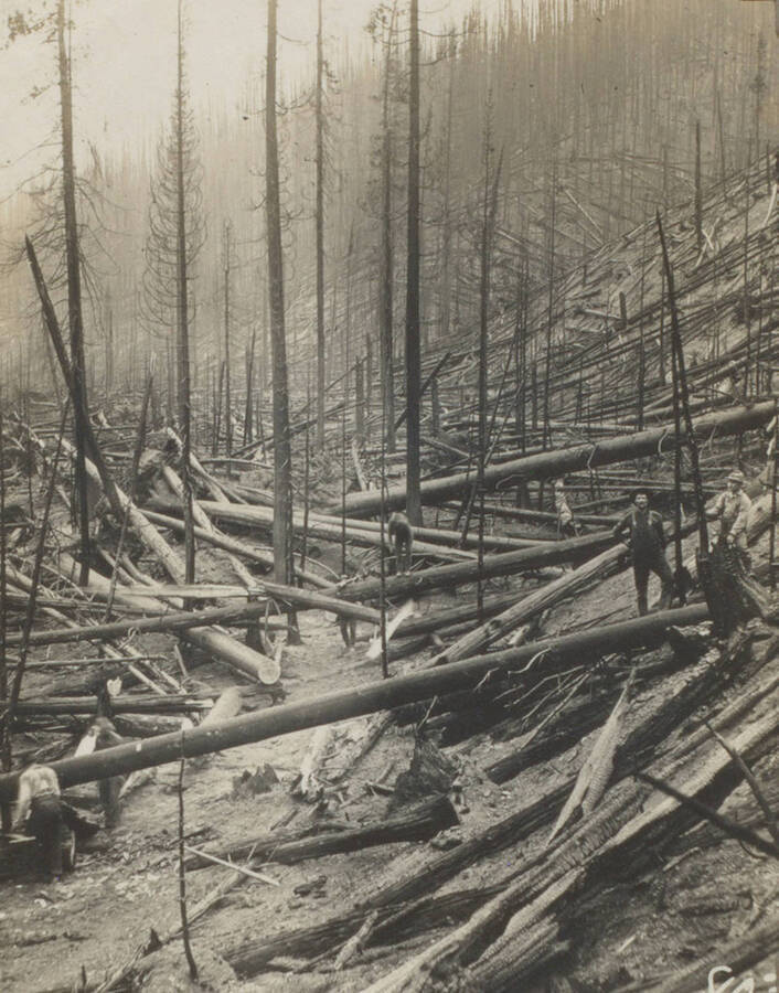 Photo text: 'Our immediate problem was to cut out the old trails.' This image is part of a pictorial narrative by William W. Morris titled 'Experiences on a National Forest'.