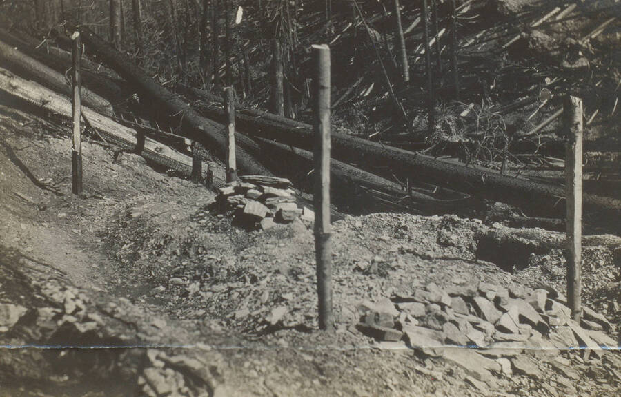 Photo text: 'Grave where seven lay side by side in Big Creek about 50 feet from the Tree That Killed Three. See page 37.' This image is part of a pictorial narrative by William W. Morris titled 'Experiences on a National Forest'.