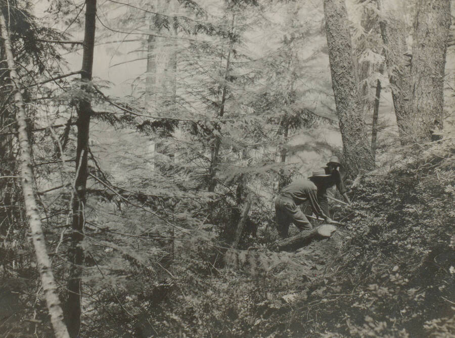 Photo text: 'Cutting our first fire line Graham Creek. (Picture of Prof. Kirkwood U. of Montana and Guard Fulkerth working on fire.)' This image is part of a pictorial narrative by William W. Morris titled 'Experiences on a National Forest'.