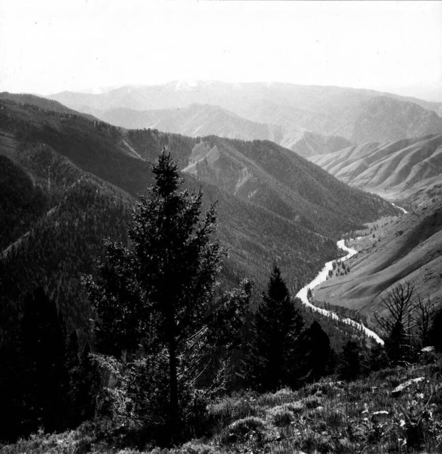 Photo text: 'Looking up Middle Fork from point on Cougar Ridge, Jackass Ridge and Flat can be seen. June 22, 1984.'