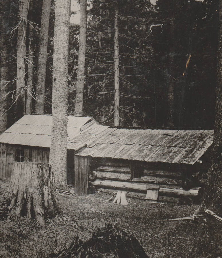 Photo text: 'Canada's Marble Creek homesteader. Not content to hold a single claim but actually helf [held] four claims on Marble Creek at one time. Lyn Lindquist's home is in Estevan, Assa., Canada.' Note: Marble Creek region homesteads at this time were often part of a homesteads fraud being documented by the US Forest Service.